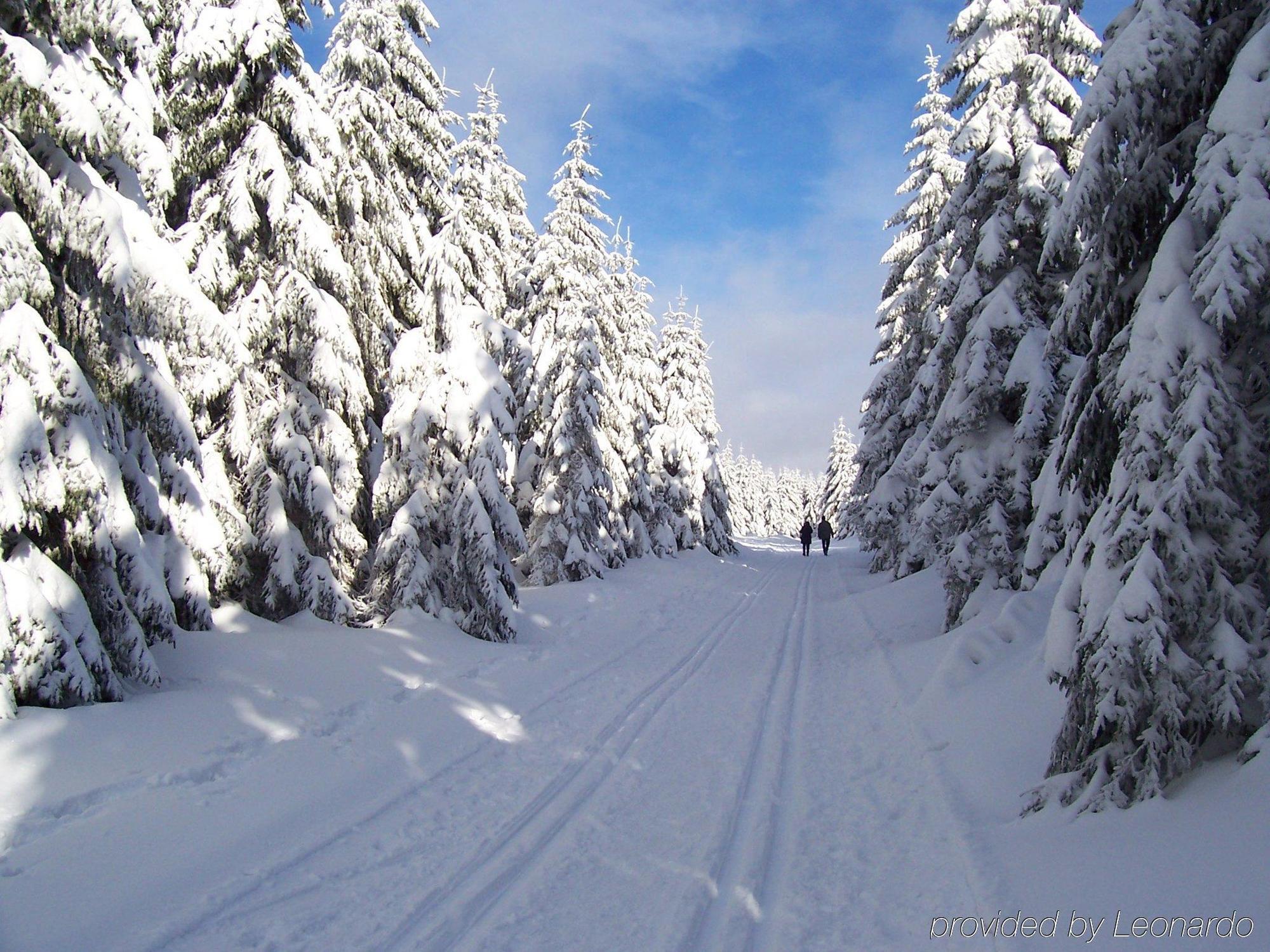 Wagners Sporthotel Oberhof المظهر الخارجي الصورة